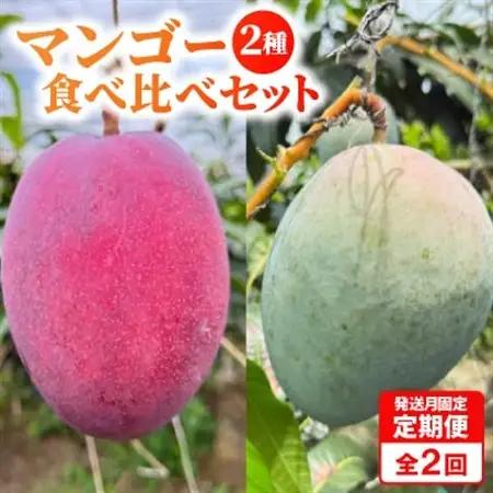 【発送月固定定期便】2026年発送マンゴー2種の食べ比べセット 全2回【配送不可地域：離島】【4012836】