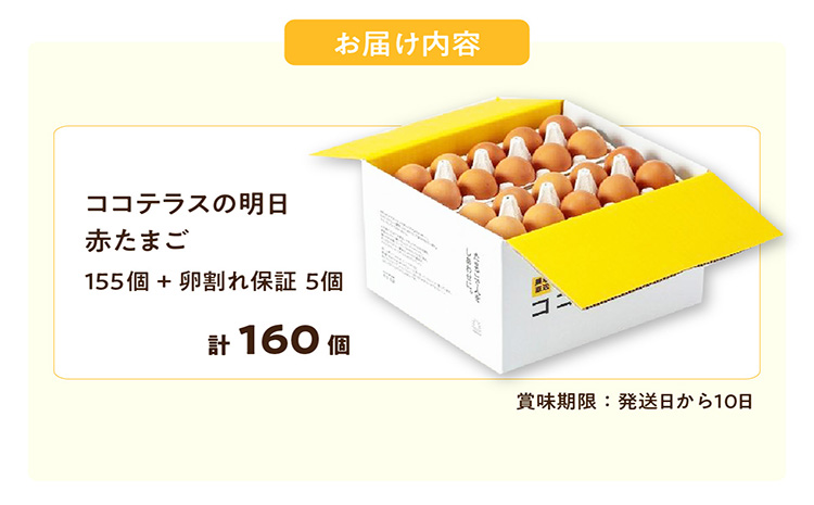 ココテラスの明日（赤たまご）155個+5個保証（計160個）