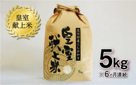  【6ヶ月連続】R7年度産米 玉川村産コシヒカリ 5kg FT18-271