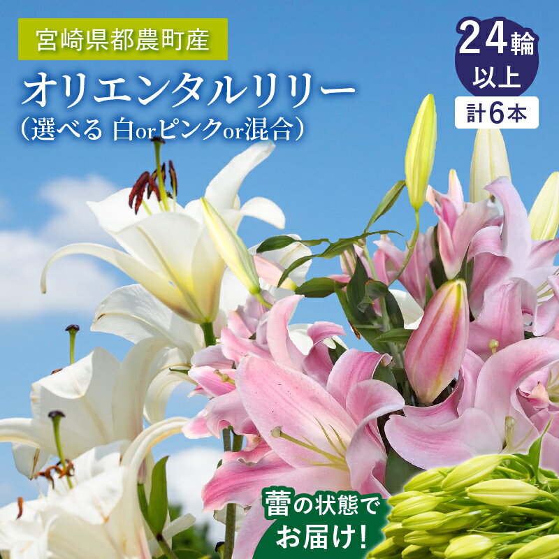 【ふるさと納税】【2週間以内発送】色が選べる オリエンタルリリー ユリ 計6本 お花 ヤマユリ カノコユリ 白 ピンク ゆり 百合 香り アレンジメント インテリア 飾り おしゃれ フラワーギフト 花束 贈り物 贈答 ウエディング ブーケ 宮崎県 都農町 送料無料