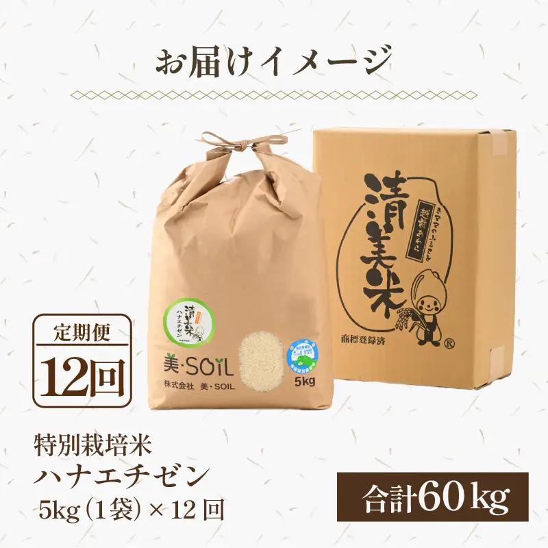 【先行予約】【令和8年産・新米】《定期便》特別栽培米 ハナエチゼン 低農薬 5kg×12回 60kg 《食味値85点以上！こだわり極上米》 / 福井県 あわら 北陸 米 お米 人気 ※2026年9月下