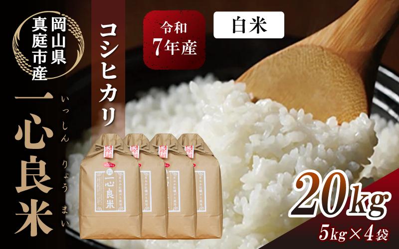 
            【令和7年産】 真庭市産コシヒカリ 米ぬか 牡蠣栽培米 『 一心良米 』 白米 20kg (5kg×4袋） / お米 いっしんりょうまい 岡山県 こしひかり 人気 ブランド 新米 2025年産 【tkns013-01-cho】
          