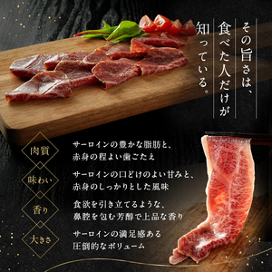 生ハムセット 佐賀県産和牛 サーロイン 赤身 生ハムセット【約40g×4p】