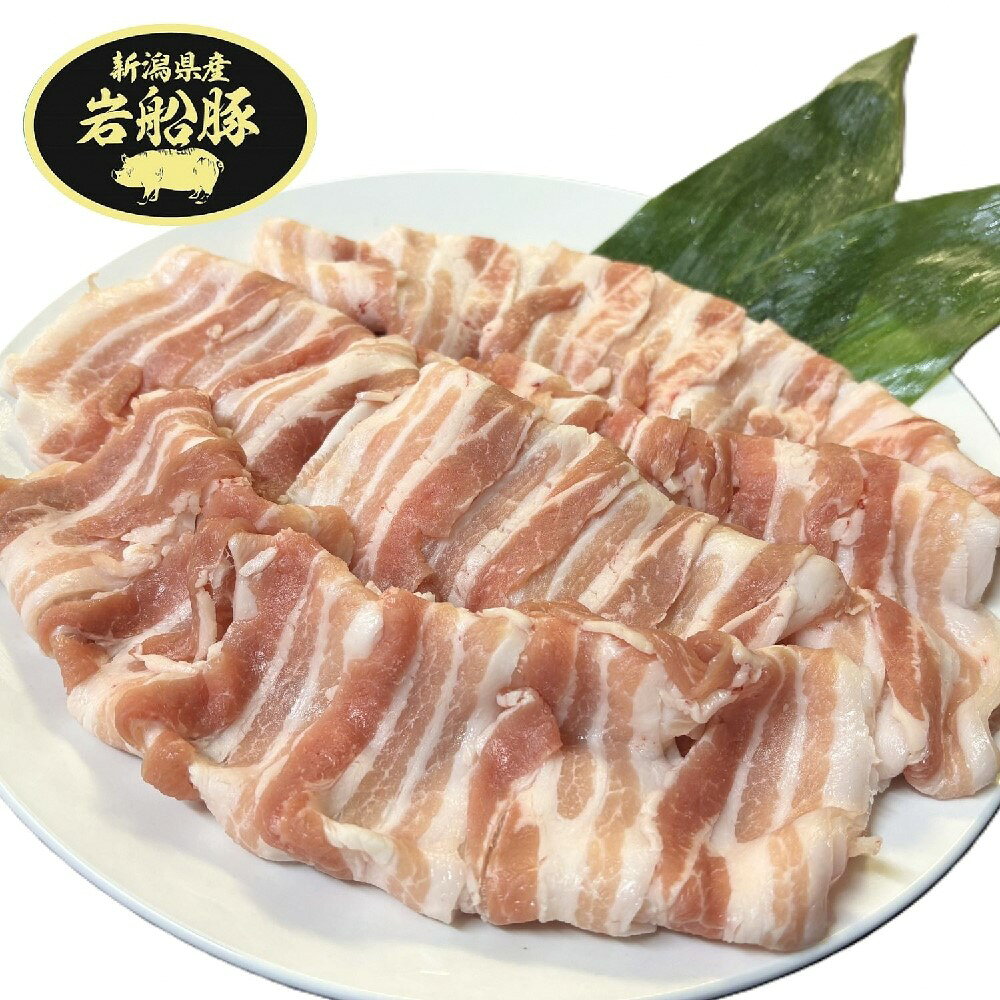 【ふるさと納税】新潟県村上市産「岩船豚」　豚バラ肉スライス　600g（300g×2パック）　豚肉 ぶたにく ぶた肉 豚 お肉 肉 バラ肉 岩船豚 ブランドポーク 銘柄豚 小分け 冷凍 新潟県 村上市 送料無料 1101002