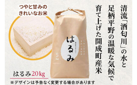【特Aランク受賞実績あり！】はるみ 20kg(10kg×2袋)【遠藤ファーム】開成町 米 ご飯 白米 お米 特A[BDAF003]