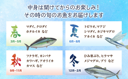 【配送地域限定】 産地直送 氷見漁港 朝どれ鮮魚お刺身セット定期便9ヶ月連続 土日祝日配達希望