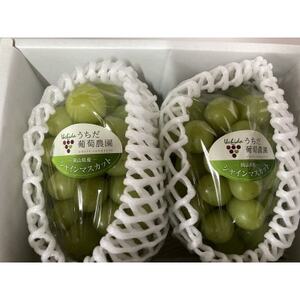朝採りシャインマスカット2房入(約1.2kg)【配送不可地域：離島】【1609771】