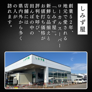 極厚 甘塩 銀鮭 切身 8切（約1kg）新潟県 上越市  創業52年しみず屋特製  ふっくら ジューシー 鮭 しゃけ サーモン  お弁当  冷凍  切り身  お取り寄せ  グルメ  送料無料　真空パッ