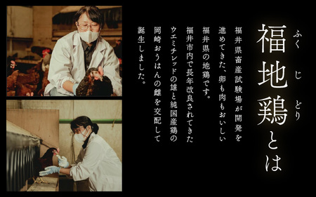 【6ヶ月連続お届け】 福井ブランド 「福地鶏」 の卵 20個 濃厚で甘くておいしい！  定期便 ／ 卵 たまご 鶏卵 生卵 有精卵 高級 高級卵 福地鶏 鶏 平飼い 美味しい こだわり 6ヶ月 定期便