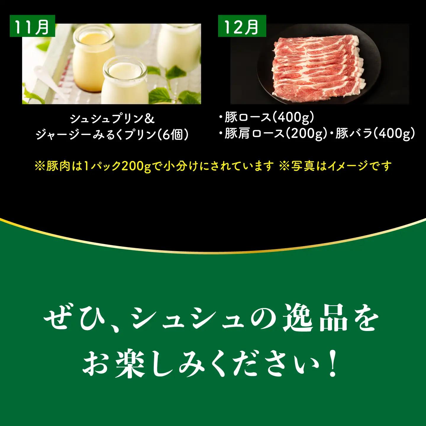 バラエティ定期便 ビジネスクラス  12回 大村市産 [ACAA098]