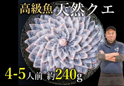 幻の高級魚 クエ刺身(薄造り) 4～5人前 240ｇ 冷凍 山口県 長門市 仙崎港水揚げ 年内配送 (1355)