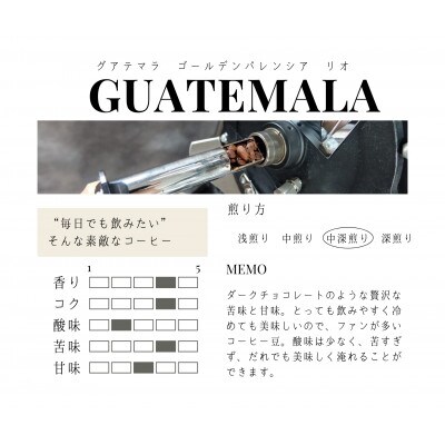【粉】グアテマラ　ゴールデンパレンシア　リオ　ウォッシュド(中深煎り)200g×2