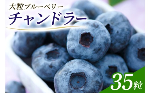 二戸産 ブルーベリー チャンドラー 35粒