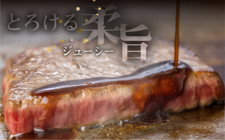 【ステーキ】飛騨牛 赤身ステーキ 3枚 (100g × 3枚 ) ステーキ