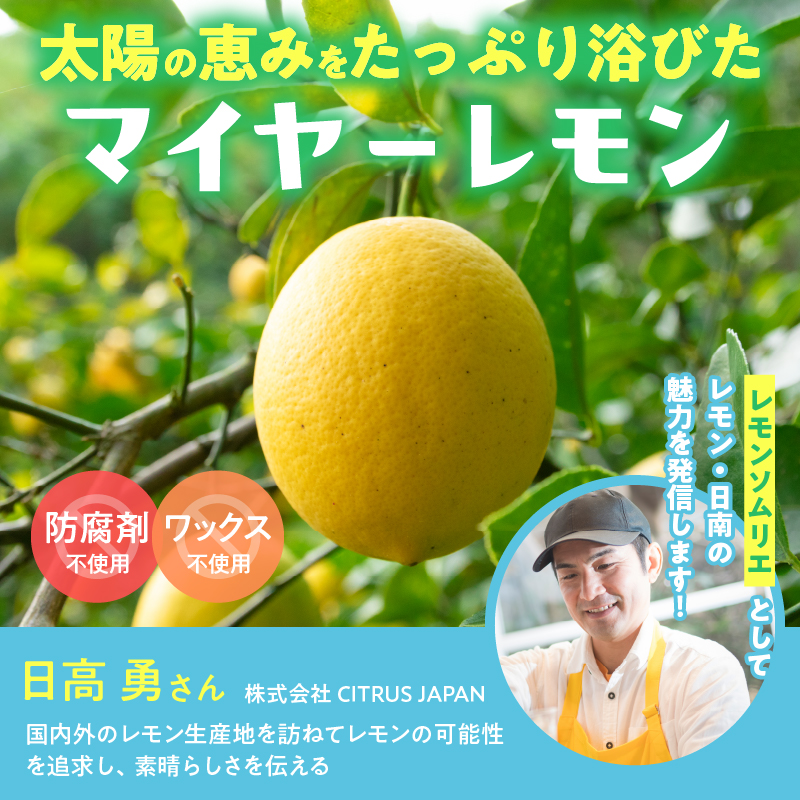 BA74-23_日南レモン シロップ レモン果汁 オリジナル 2本 セット 合計600ml 果物 レモン れもん 柑橘 ジュース 飲料 国産 食品 スイーツ 送料無料_イメージ2