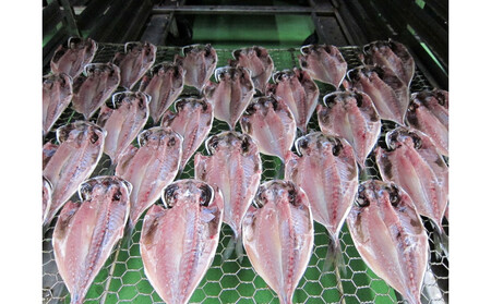 小田原ひもの詰合せ　SA30【惣菜 魚 干物 ひもの お取り寄せ 御中元 お中元 お歳暮 父の日 母の日 贈り物 家庭用 自宅用 贈答品 贈答用 ギフト 定番 朝食 朝ごはん 国産 中あじ  神奈川県
