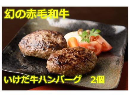 北海道　十勝名物!豚丼の具と”幻”の赤毛和牛‼いけだ牛ハンバーグ各2個