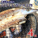 【ふるさと納税】 天日干し カマス干物 4枚 10000円 カマス かます 干物 小分け 高級魚 冷凍 無添加 新鮮 地魚 魚 海鮮 焼魚 おかず 朝食 夕食 おつまみ 日本酒 ビール 酒の肴 グルメ お取り寄せ 贈り物 真空パック 個包装 魚介類 銚子港 千葉県 銚子市 〆印島長水産