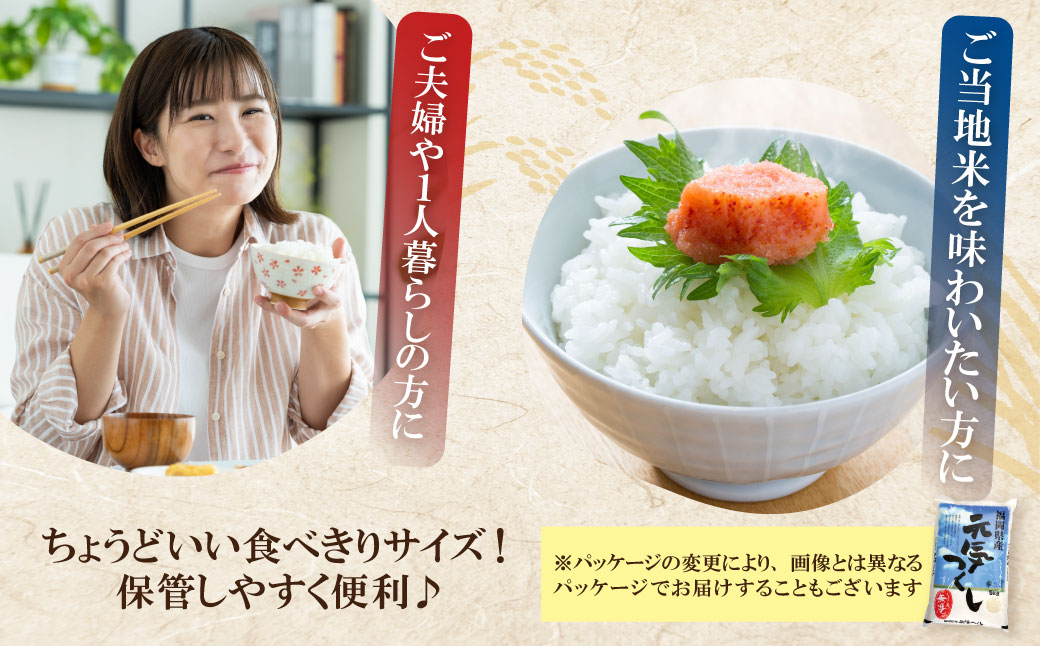 【新米】令和7年産 無洗米 元気つくし2kg