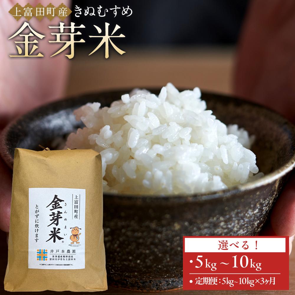 【ふるさと納税】【単品・定期便より選択可】令和7年産 上富田町産 金芽米 きぬむすめ 5 ～10kg 井戸本農園 | お米 こめ 白米 食品 人気 おすすめ 送料無料