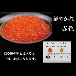  ひめしずく 400g(200g×2) いくら醤油漬け 小分けパック_I009-0944