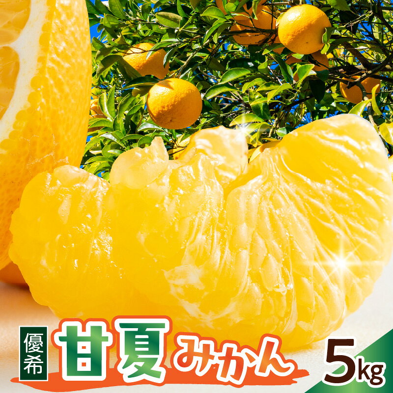 【ふるさと納税】 先行予約 栽培期間中農薬・除草剤不使用 甘夏 みかん 5kg 【 2027年 2月中旬～発送】 ミカン 蜜柑 あまなつ 果物 くだもの フルーツ 柑橘 送料無料 産地直送 お取り寄せ 春 旬 数量限定 期間限定 広島県 呉市