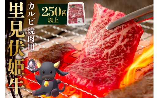 
            里見伏姫牛　カルビ焼肉用250g以上 mi0119-0001 【肉 食品 焼肉 BBQ バーベキュー 家族 ファミリー お取り寄せ グルメ】
          