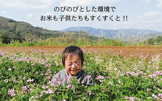 【定期便 全5回】【令和8年産 新米】しょうちゃんの棚田米 夢しずく 米 5kg×5回 合計25kg 佐賀県産 精米 栽培期間中農薬・化学肥料不使用 _k-2