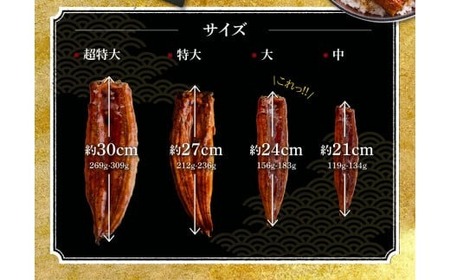 うなぎ蒲焼 大2尾 定期便3回 超絶 うなぎ