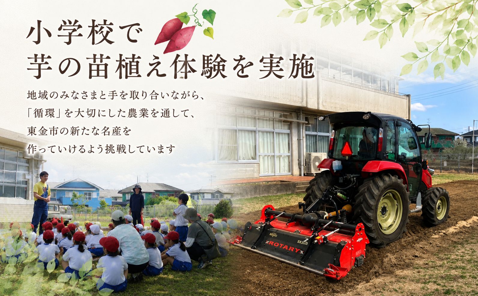 冷凍 旨蜜芋 2kg 紅はるか 焼き芋 さつまいも サツマイモ 