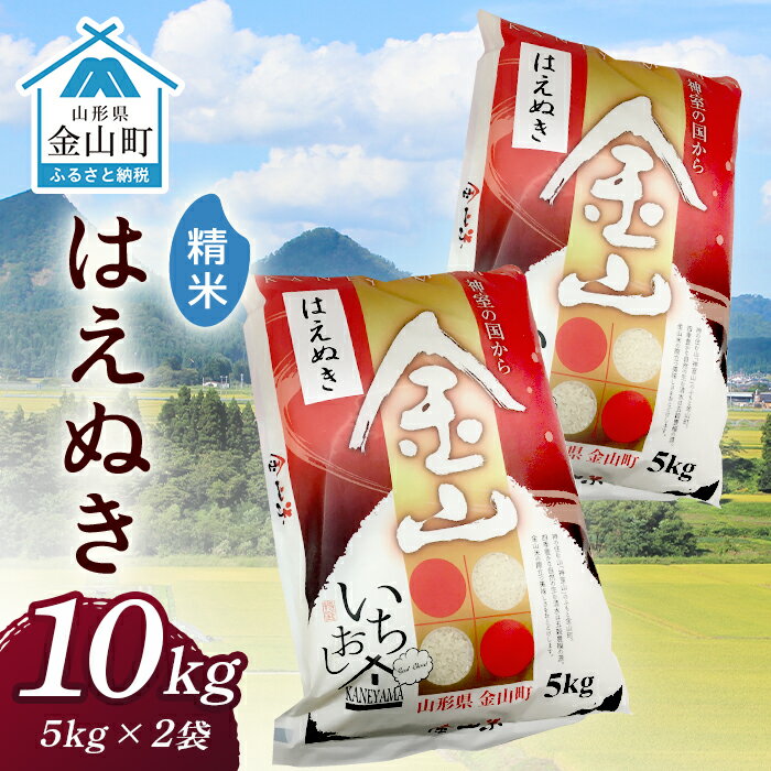 【ふるさと納税】令和7年産 金山産米 はえぬき 【精米】（5kg×2袋） 計10kg 米 お米 白米 ご飯 精米 ブランド米 送料無料 東北 山形 金山町 F4B-0644