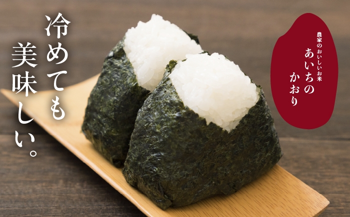 お米 精米 白米 ご飯 ごはん 特別栽培米 愛知県産 米 5kg 5キロ 愛西市