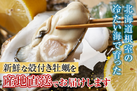 【北海道根室産】貝付き牡蠣80個[11月上旬以降発送] D-54008