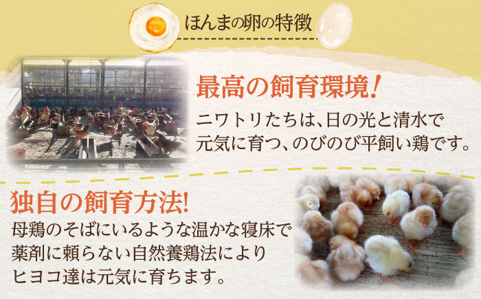 平飼いたまご使用！たまごやさんのおひさまプリン 5個 / プリン デザート 卵 平飼い / 佐賀県 / 本間農園 [41AJAA004]