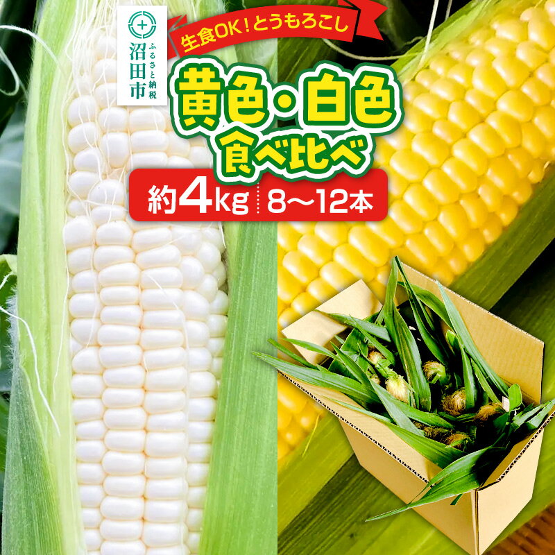 【ふるさと納税】《7月下旬〜9月中旬発送》とうもろこし 味来・ピュアホワイト 約4kg（8〜12本／おおむね半分ずつ）