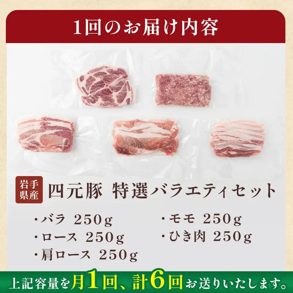 6ヶ月定期便  岩手ブランド豚 四元豚 おまかせ カット肉 ＆ ひき肉 セット 約1.25kg GIFTON ロース バラ 肩ロース モモ ひき肉 合計約1.25kg×6回 定期便 豚肉 お歳暮 お中