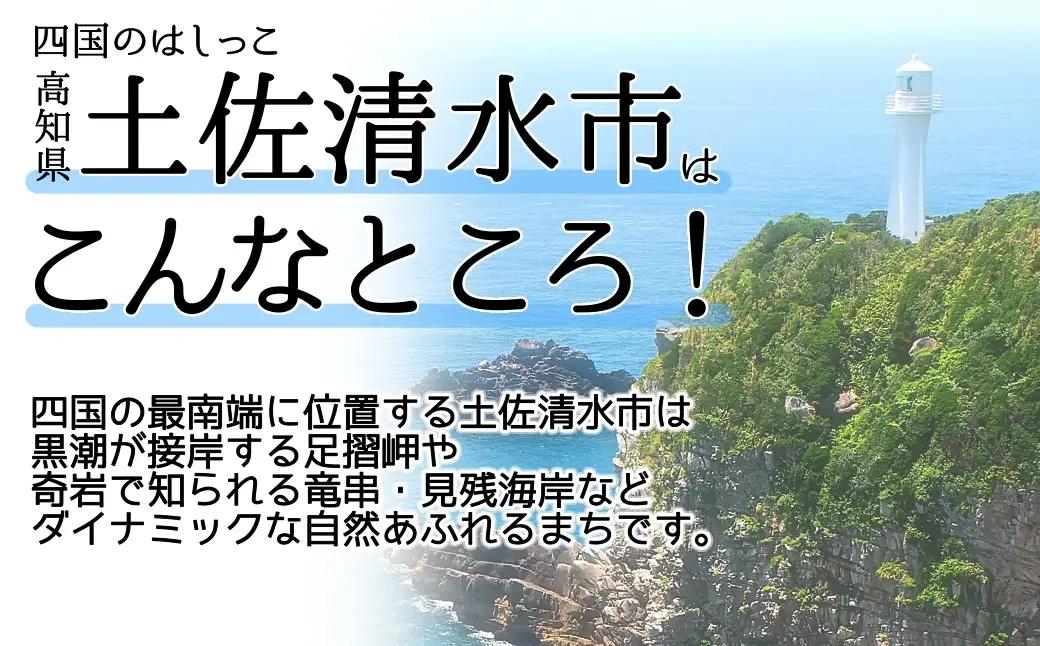 足摺ヤブ椿再生プロジェクト 応援一口 100,000円（30,000円分） ※返礼品なし※ 自然保護 椿 つばき ツバキ 藪椿 ヤブツバキ クラウドファンディング 募金 環境保護 SDGs 高知県【R