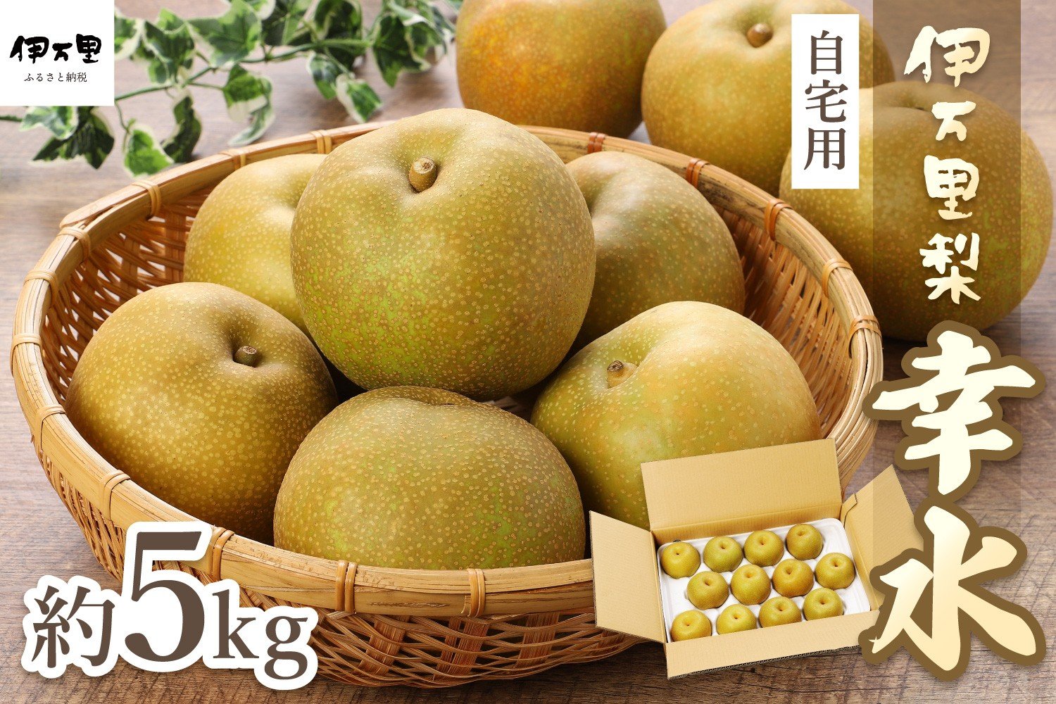 【令和6年産先行予約】伊万里梨 「幸水」 約5kg ご自宅用におすすめ