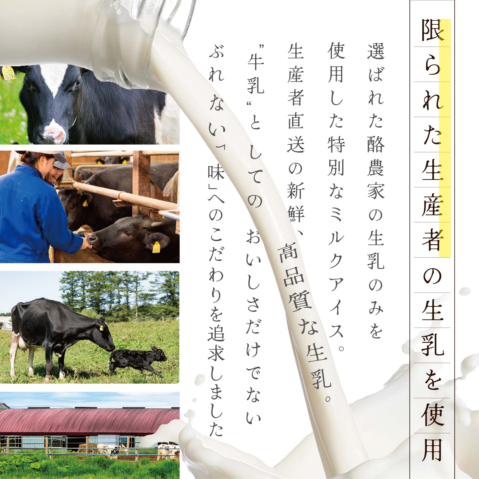 【THEICE】3種詰合せ12個セット【高島屋選定品】【be123-1368】_イメージ3