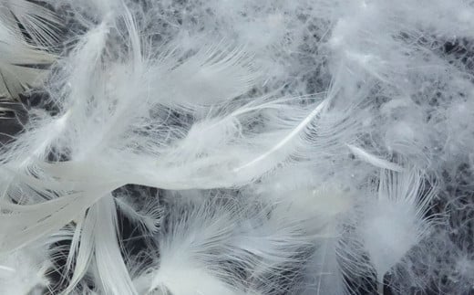 ダウンパッド（羽毛敷きパッド）セミダブル ［サステナブルなダウン×抗菌防臭生地］ 【1328】