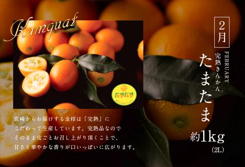 《2026年発送先行予約》【数量・期間限定】青果店厳選！「3ヶ月お届け！くだもの定期便Vol.2」 青果物 果物 フルーツ