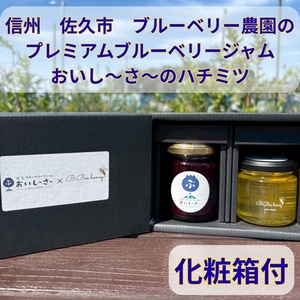 長野県産 ブルーベリージャム125gとはちみつ100gセット（各1本/化粧箱入） 信州 佐久市 無添加 国産 アカシア 蜂蜜 ハニー パン ヨーグルト はちみつ