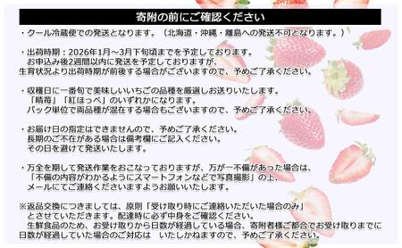 鏡野町産 朝採れ！旬の完熟いちご 300g×4パック＜2026年1月～3月発送＞【038-a004】