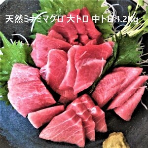 天然ミナミマグロ 大トロ 中トロ 詰合せ約1.2kg (a33-005)