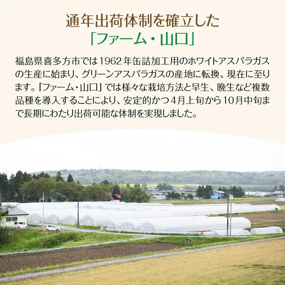 朝採れ新鮮！喜多方産　グリーンアスパラガス　1kg（L～2Lサイズ）　【07208-0629】