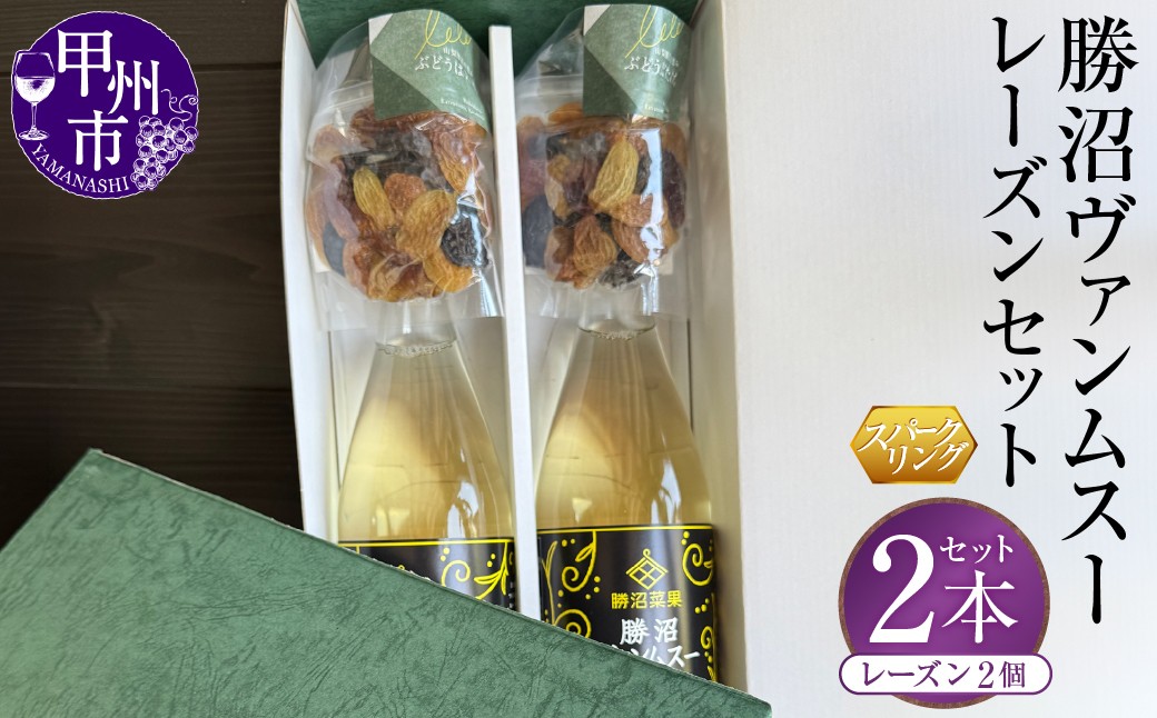 
                  勝沼ヴァンムスー2本・レーズン2個セット（BDB）B18-1610　【ワイン スパークリングワイン 数量限定 山梨県 甲州市】
                