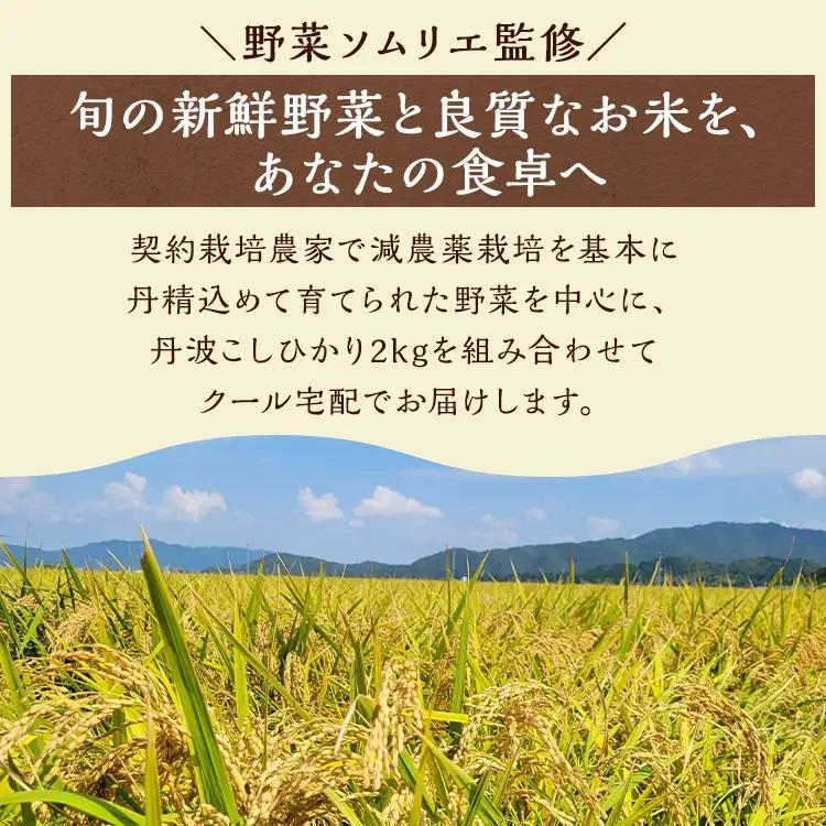 【隔月6回定期便】旬の京野菜セット 野菜 米 卵 納豆 詰め合わせ
