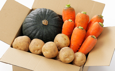 北海道産 お野菜セット じゃがいも にんじん カボチャ 北海道 上士幌町 関口農場 野菜 詰め合わせ 産地直送 ◆2025年10月配送予定
