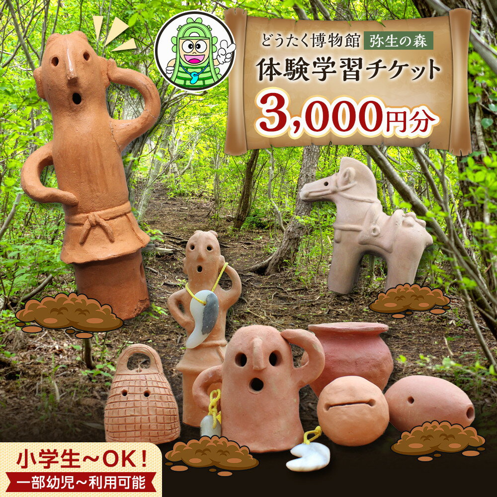 【ふるさと納税】弥生の森体験学習チケット　3,000円分　（1,000円×3枚） | 野洲市 チケット ハニワ 埴輪 券 体験 人気 おすすめ 送料無料