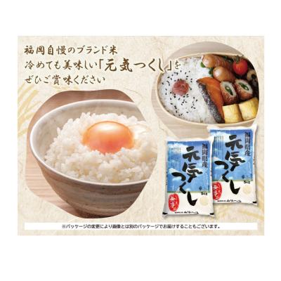 ふるさと納税 福智町 令和7年産 無洗米 元気つくし10kg |  | 03